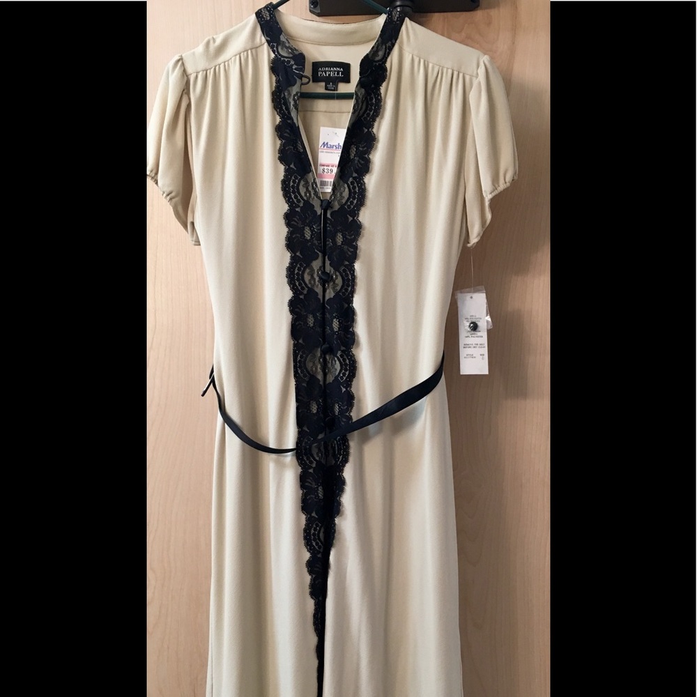 Adrianna Papell Retro Pin Up Dress